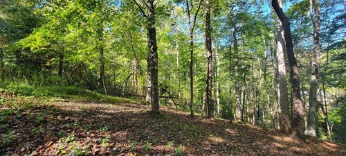Lot 56 Summer House Dr, Hardy, VA, 24101-3170 | Card Image