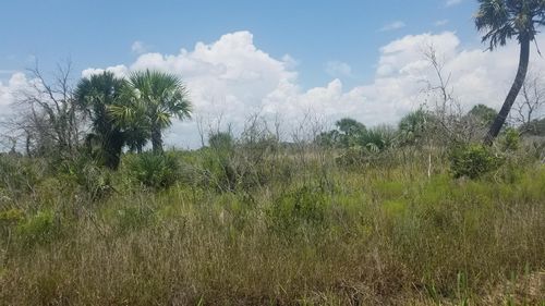 - Nw 302, Okeechobee, FL, 34972 | Card Image