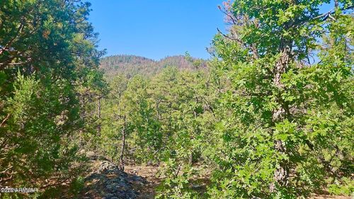 --29 County Road 3199, Vernon, AZ, 85940 | Card Image