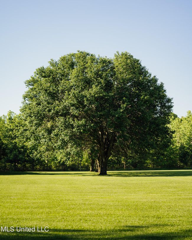 AH WB Isola House pics-43 | Image 45