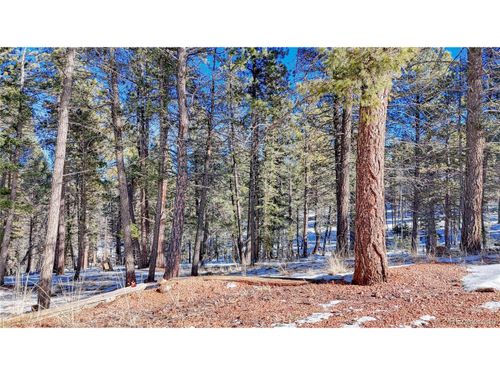 28 Deer Cir, Florissant, CO, 80816 | Card Image