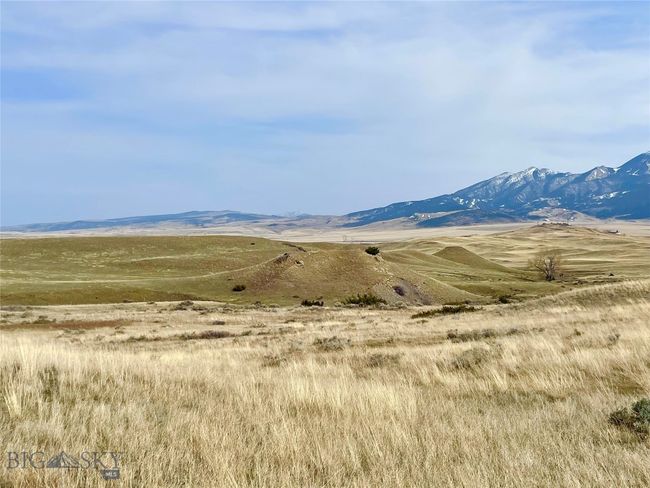 Lots of Privacy with 33+ Acres | Image 24
