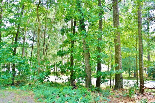 695 Lake Shore Dr, Home with 0 bedrooms, 0 bathrooms and null parking in Coldspring TX | Image 17