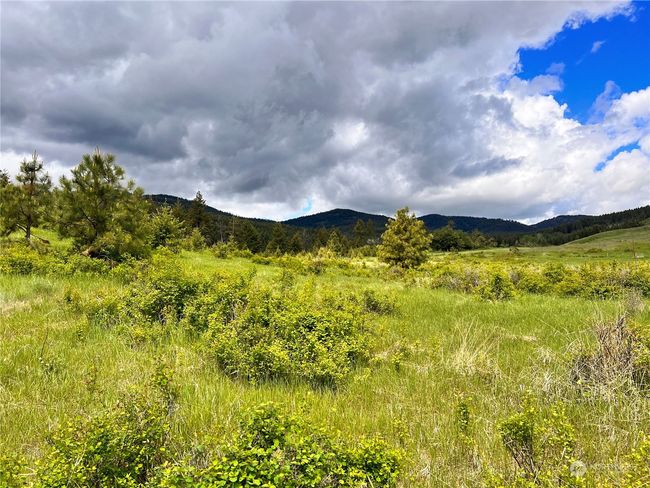 0 TBD Goosmus Creek Rd, Home with 0 bedrooms, 0 bathrooms and null parking in Curlew WA | Image 5