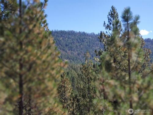 0 Long Horn Trail, Riverside, WA, 98849 | Card Image