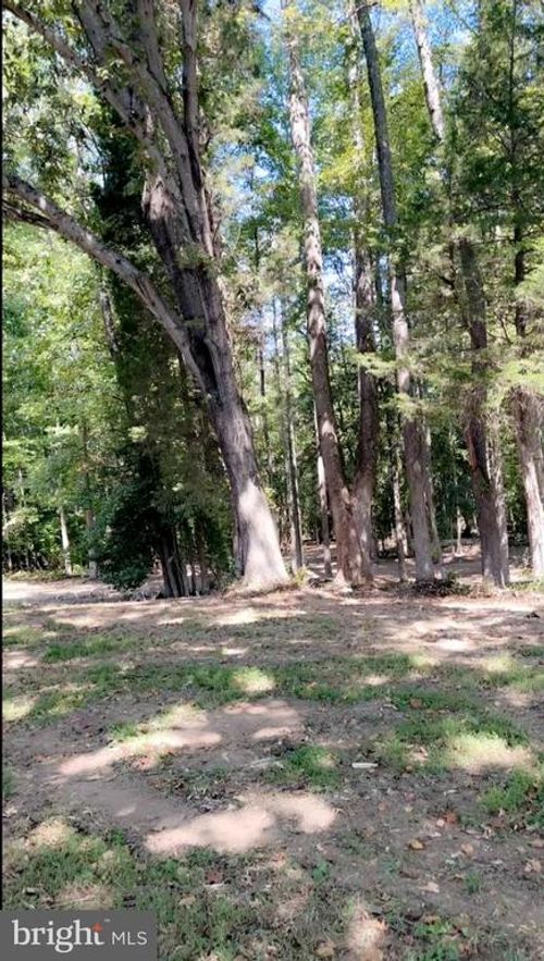 23124 Telegraph Rd, Ruther Glen, VA, 22546-2528 | Card Image