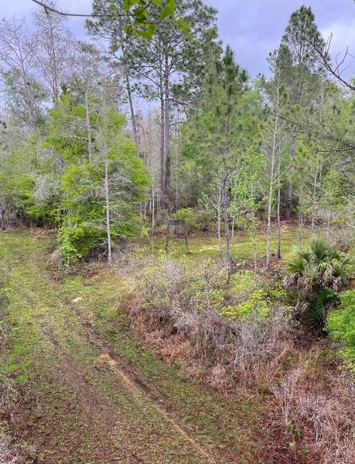 00 Birds Nest Ln, CHIEFLAND, FL, 32626 | Card Image