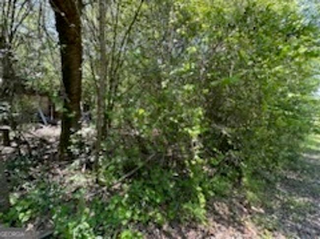 4505 Sylvester Rd, Home with 0 bedrooms, 0 bathrooms and null parking in Sylvester GA | Image 8