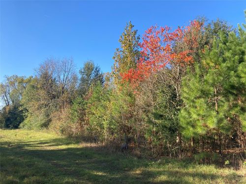 10211 S Essex Dr, Conroe, TX, 77302 | Card Image