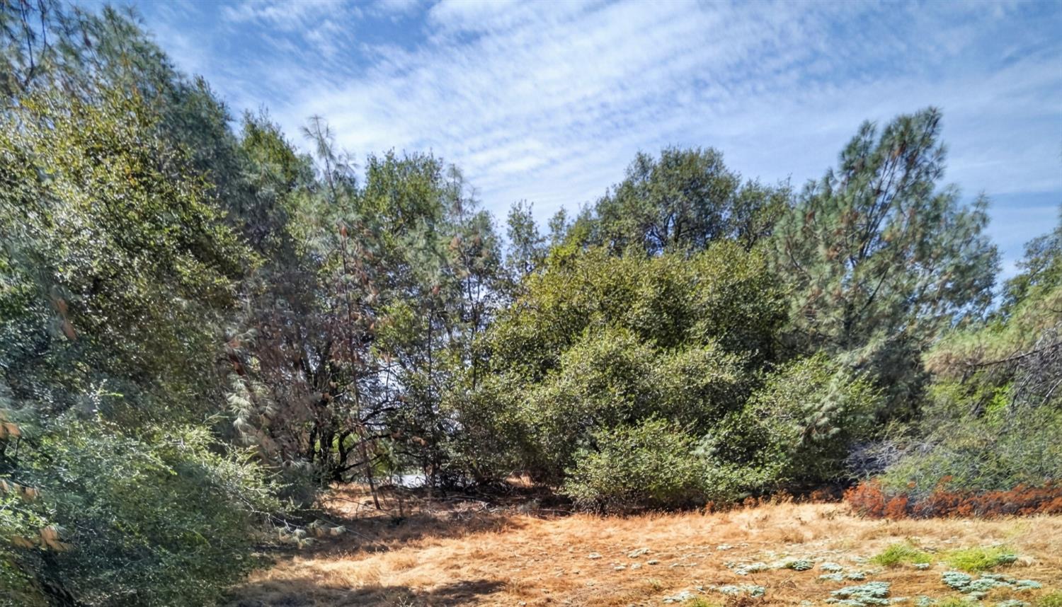 Land in Placerville 5