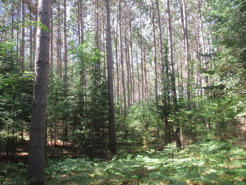 00000 Sutherland Rd, MASON, WI, 54856 | Card Image