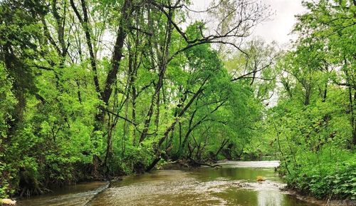 2132 Easy K Rd, Sage, AR, 72573-8881 | Card Image