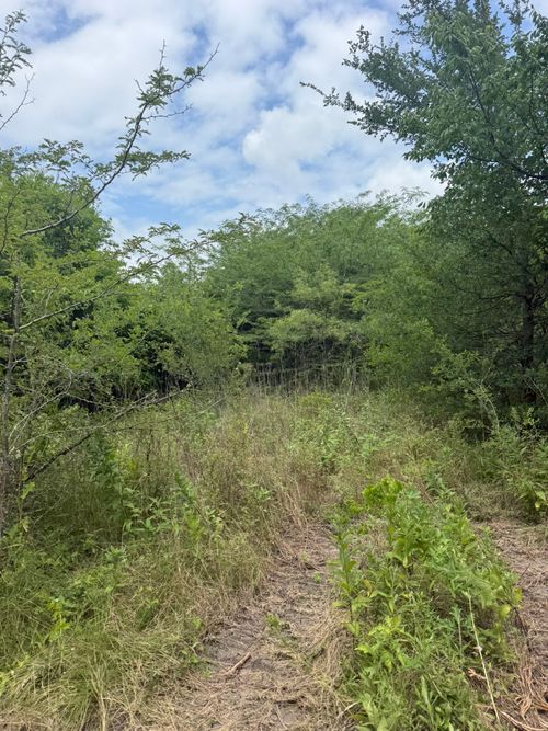 TBD 1.5 Mcknight, Ferris, TX, 75125 | Card Image