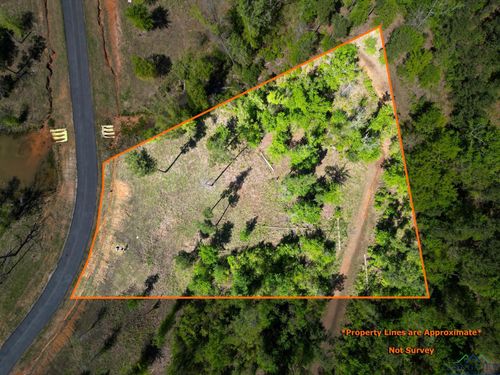 big-rock-lake-LT 53 Marble Way, Hallsville, TX, 75650 | Card Image