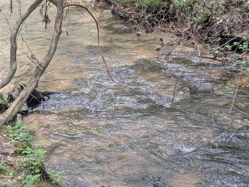 0 55th Ave, Gruetli Laager, TN, 37339 | Card Image