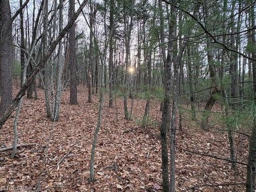 TBD Sutters Ridge Rd, Mc Grady, NC, 28649 | Card Image