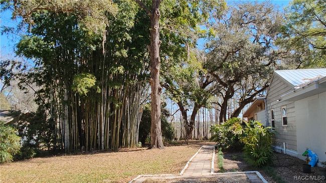 House sits about in the middle of the land. walk leads to front door. | Image 37