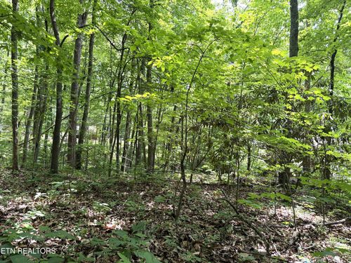 0 Swann Saddle Rd, Sevierville, TN, 37876 | Card Image