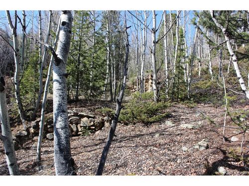 0 Spruce St, Central City, CO, 80427 | Card Image