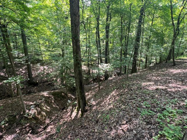 Lot View-Ravine -144 Hide-A-Way Road, Sugar Grove, OH 43155 | Image 4