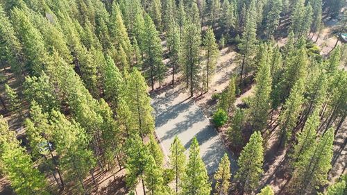 xxx Red Cedar Ct, Etna, CA, 96027 | Card Image