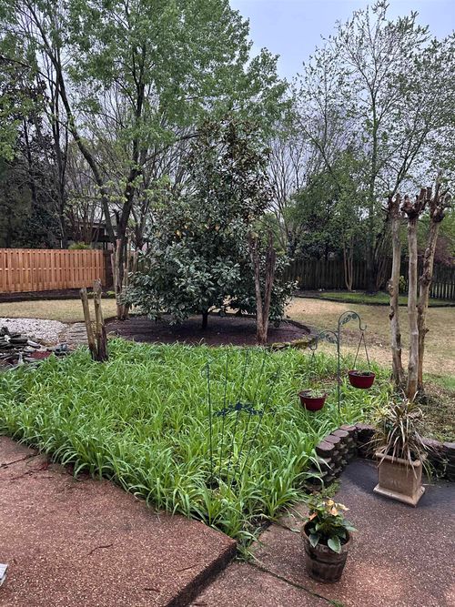 2381 Logwood Briar Cv N, Collierville, TN, 38017-8881 | Card Image