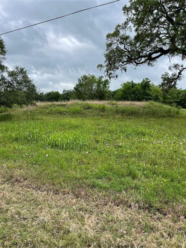 526 Pony Trl, Home with 0 bedrooms, 0 bathrooms and null parking in Angleton TX | Image 8