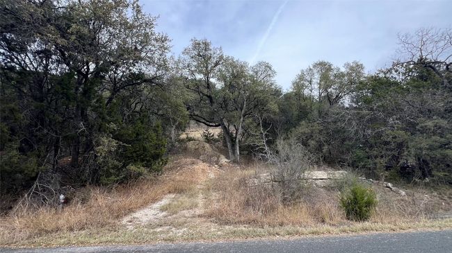 View of woods | Image 12