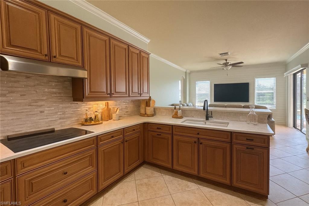 Residential in FORT MYERS 4