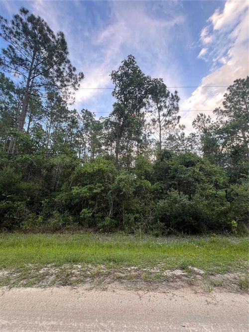 1411 Elder Street, Bunnell, FL, 32110 | Card Image