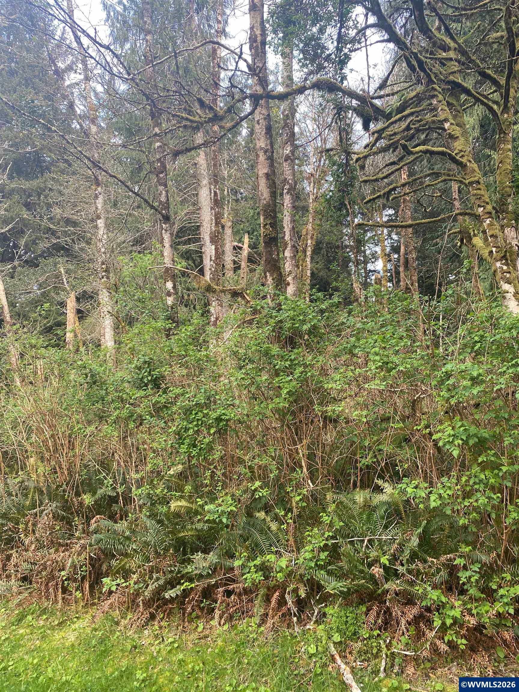 Land in Lincoln City