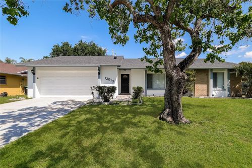 12013 Clove St, ORLANDO, FL, 32837-9518 | Card Image