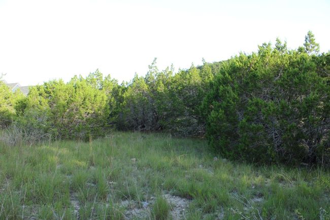 Level grounds on Lot | Image 25