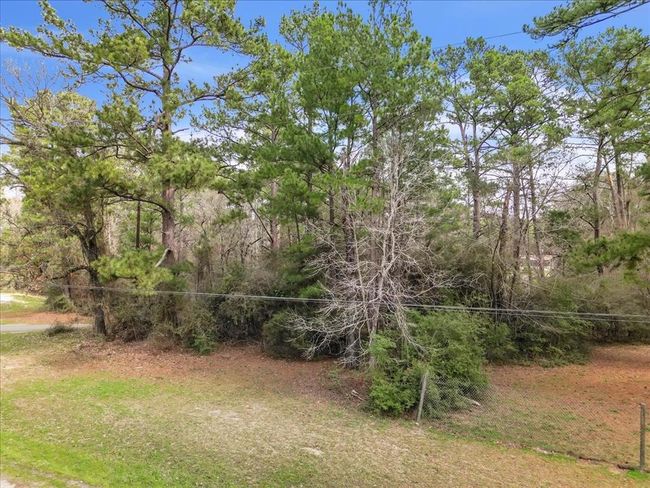 0 Trinity Cove Dr, Home with 0 bedrooms, 0 bathrooms and null parking in Trinity TX | Image 4