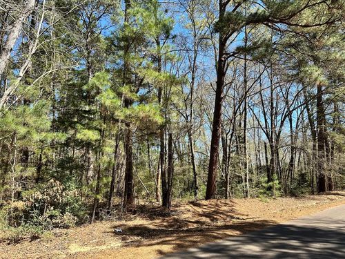 TBD An County Road 1204, Elkhart, TX, 75839 | Card Image