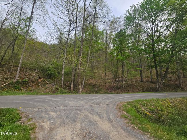 2320 Left Poor Valley Rd, Home with 0 bedrooms, 0 bathrooms and null parking in Pennington Gap VA | Image 8