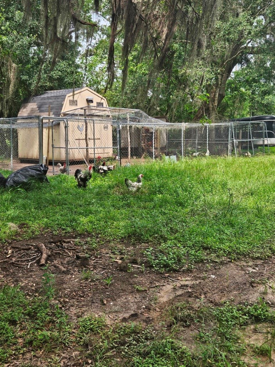 Land in Sweeny 5