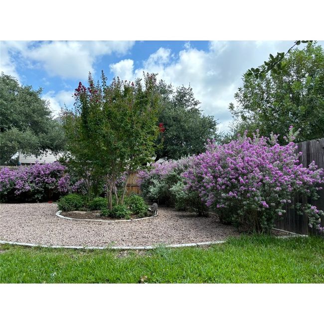 Backyard landscaping when in full bloom | Image 7