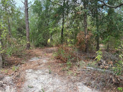 18379 Thomas Blvd, HUDSON, FL, 34667-5853 | Card Image