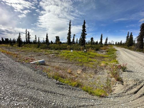 49486 S Timberwolf Rd, Chickaloon, AK, 99674 | Card Image