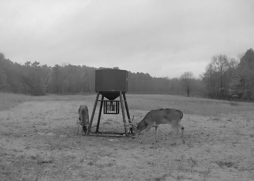 6536 Hudson Creek, Watson, OK, 74957 | Card Image