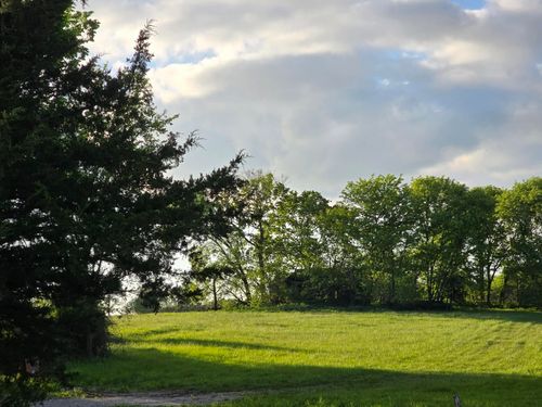 Tbd 501 Rd 80+/- Acres, Clinton, MO, 64735 | Card Image