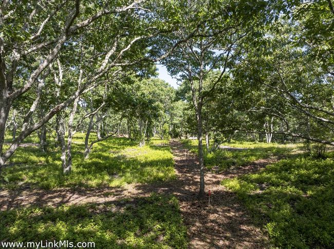 4 Cedar Ln, Home with 0 bedrooms, 0 bathrooms and null parking in Chilmark MA | Image 18