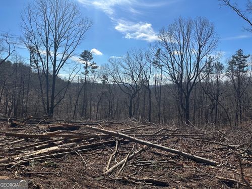 500 Chapman Ridge Lane, Dahlonega, GA, 30533 | Card Image