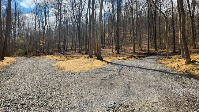 TRACT-1-PIKE-LAKE-GETAWA - 0 Pike Lake Rd, Home with 0 bedrooms, 0 bathrooms and null parking in Bainbridge OH | Image 9