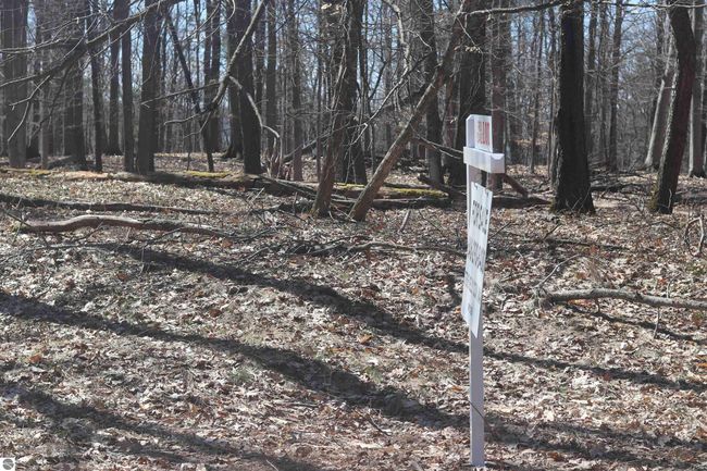 lot 4 Crystal Ridge Dr, Home with 0 bedrooms, 0 bathrooms and null parking in Beulah MI | Image 4