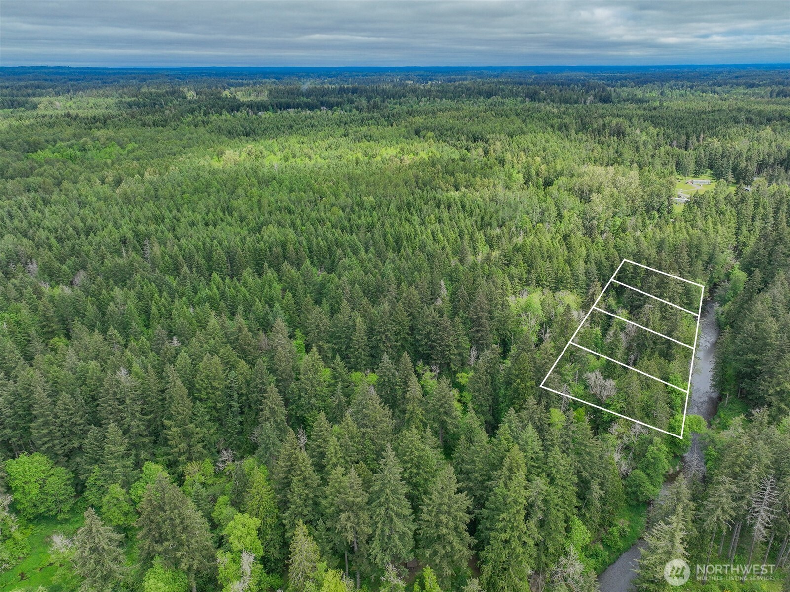 Land in Rainier 2