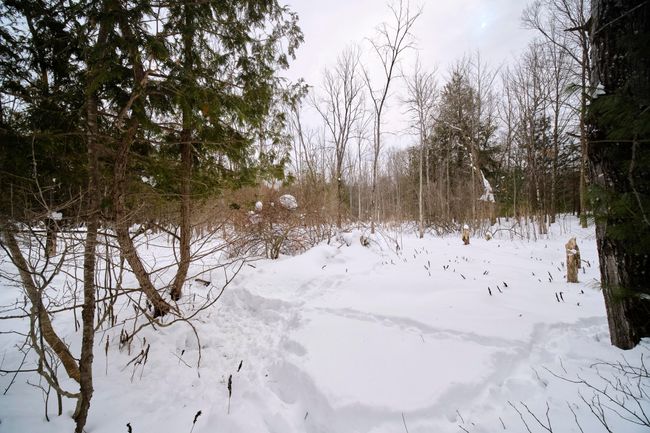 Property views | Image 50