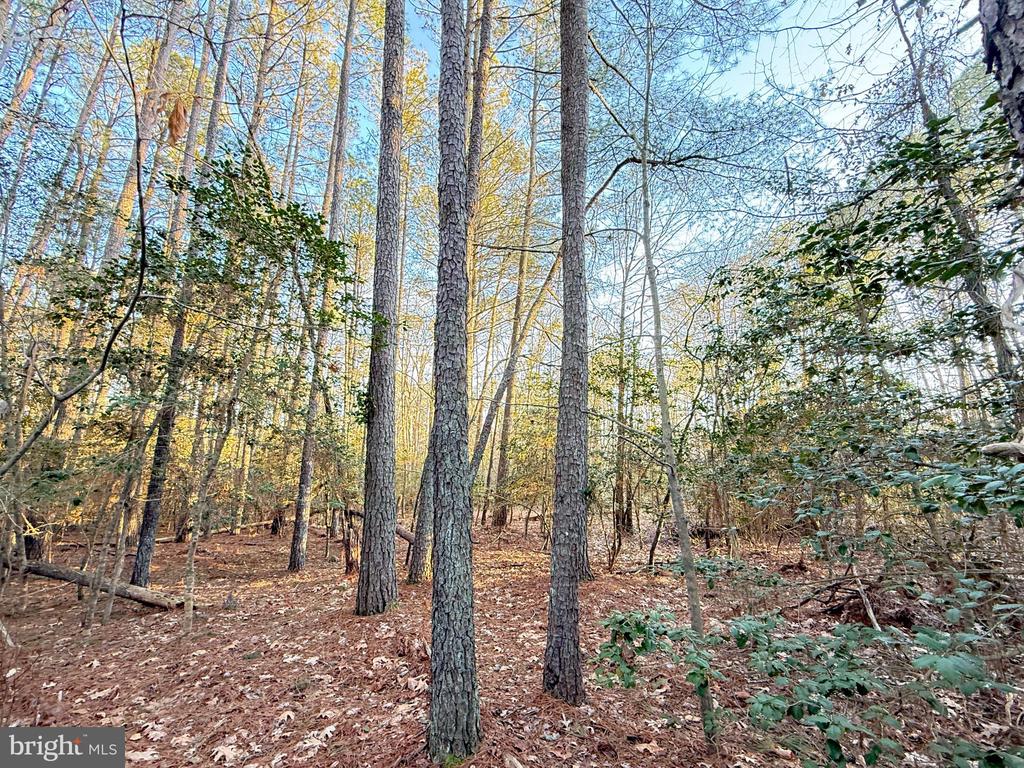 Land in VALLEY LEE 2