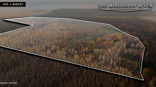 0 State Route 79, Ridgely, TN, 38080 | Card Image